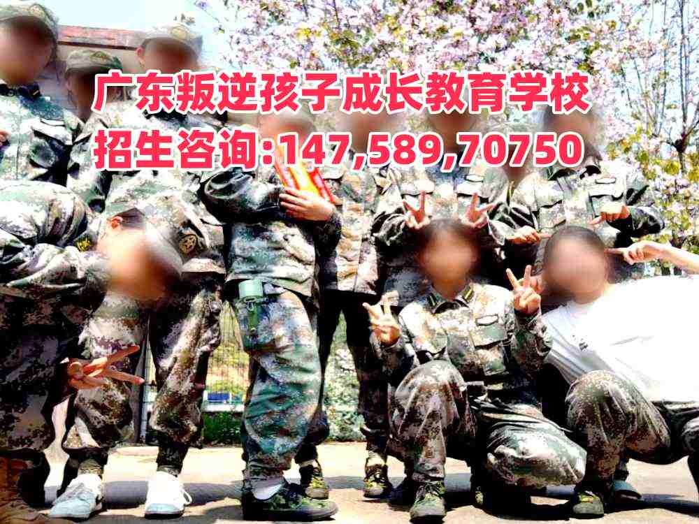 廣東成長教育招生熱線14758970750
